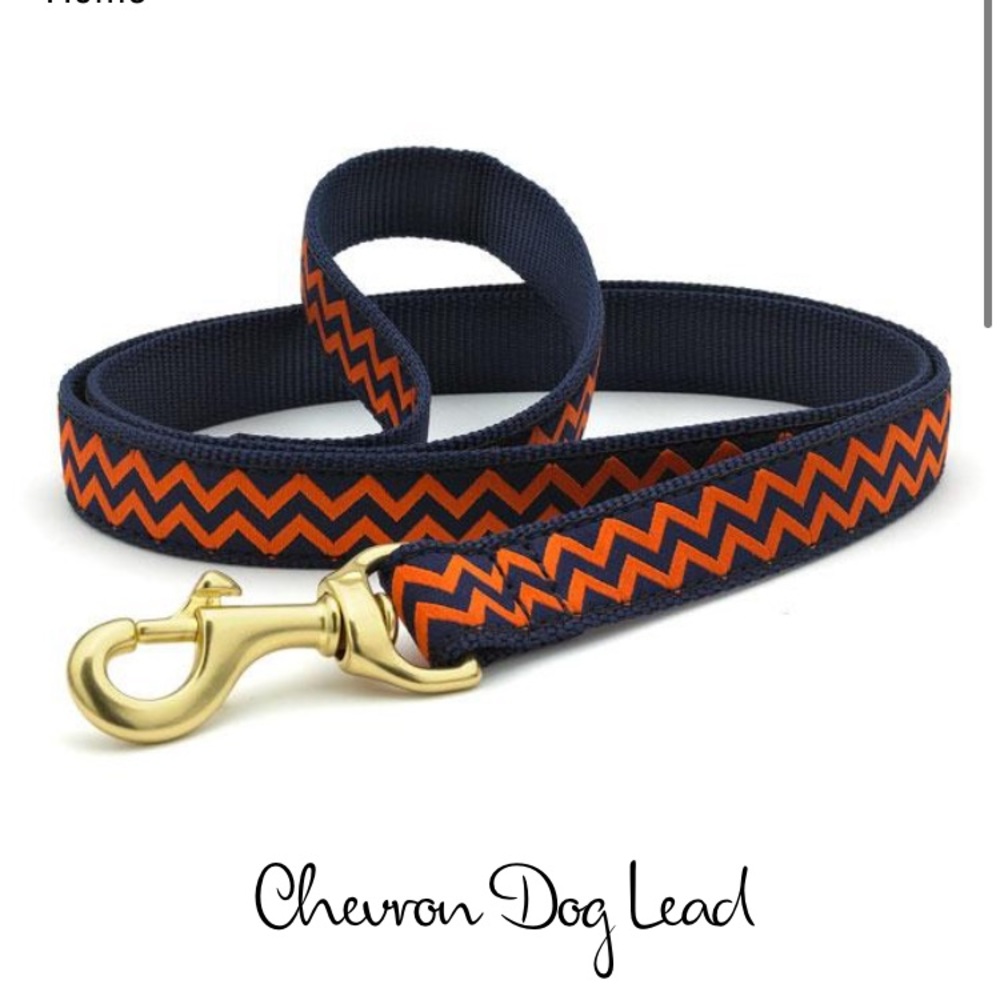 Up Country Chevron Dog Leash